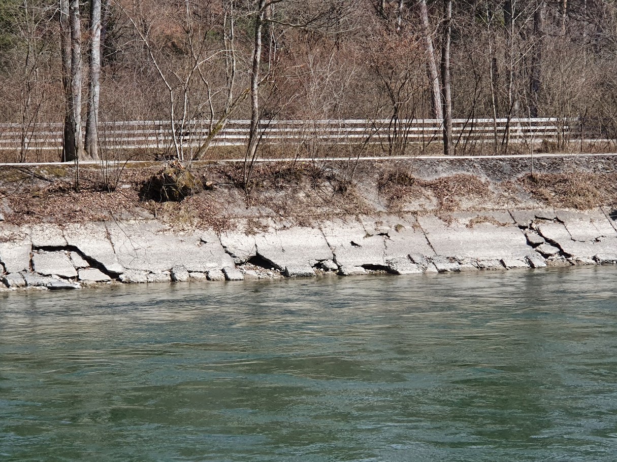 Aare Mittelland Elfenau / Nessleren